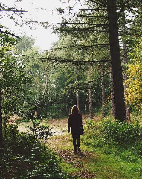 A woman walks through a forest.