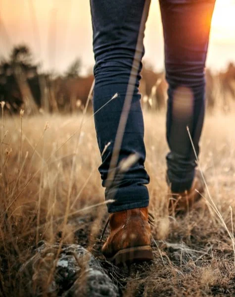 A man walks through a meadow.